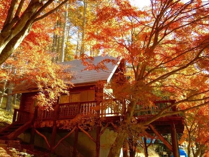 四徳温泉キャンプ場