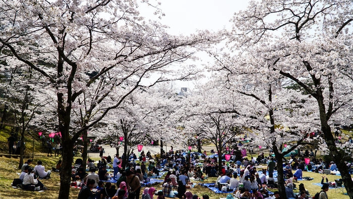 【国際ブランド】 article_pc_yuyeinjapan_GettyIm 人形