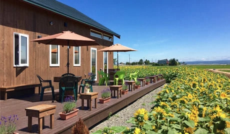 Fcqi3elirpxtjm Fcqi3elirpxtjm