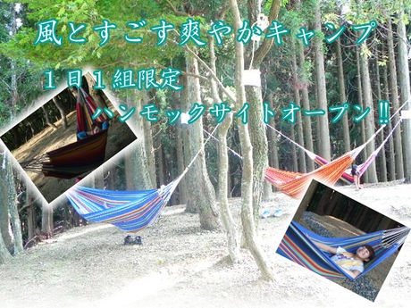 ビラデスト今津のハンモックサイトの様子