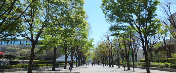 代々木公園の並木道の様子