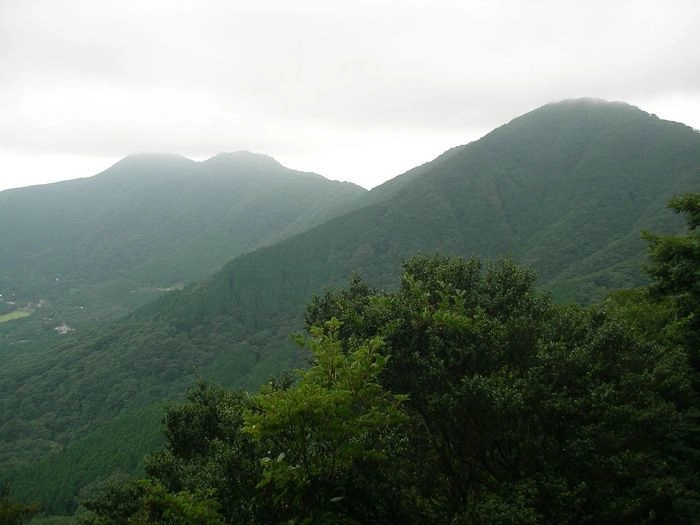 霧がかった緑の山