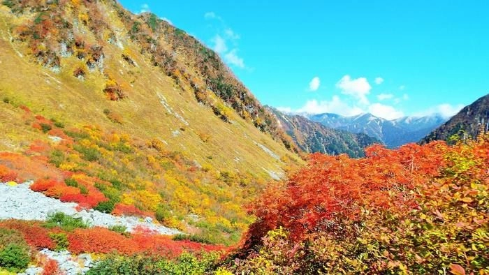 涸沢ヒュッテの紅葉
