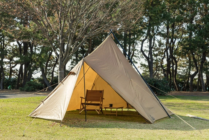 タラスブルバを徹底解説!歴史やテント(キャタピラー)のサイズ感も