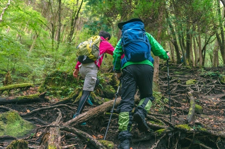 登山をする親子の様子