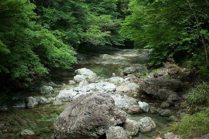 川の風景