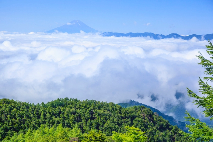 雲取山からの風景