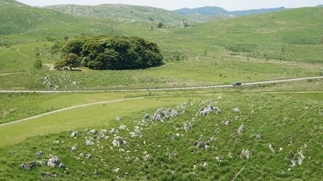 長者ヶ森の風景