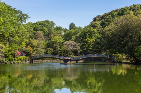 町田市の薬師池公園