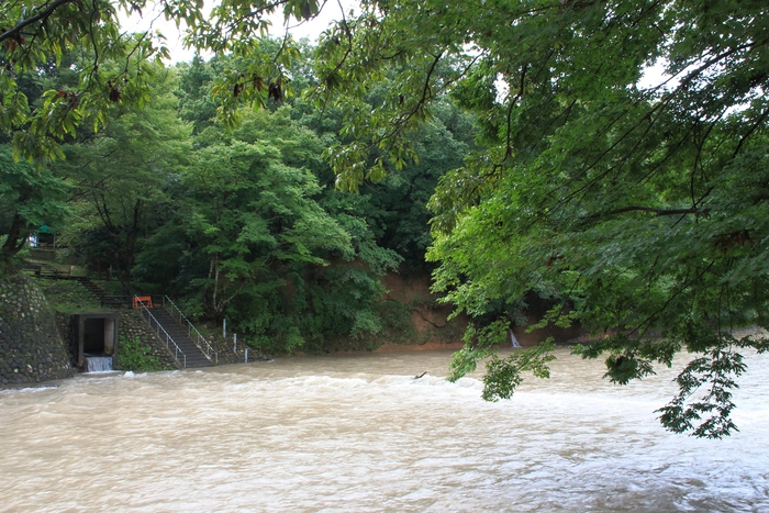 台風により増水した高麗川