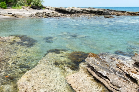 沖ノ島の磯