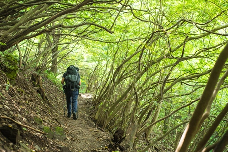 日帰りもok 陣馬山はゆったりなハイキングにおすすめ キャンプ アウトドア情報メディアhinata