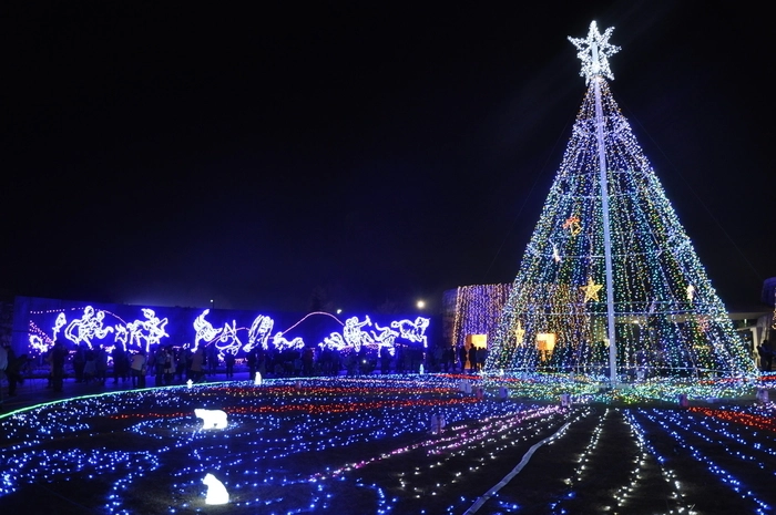 まんのう公園のイルミネーション