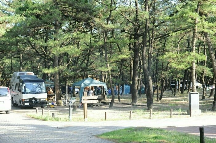 くにの松原キャンプ場