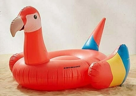 赤の鳥の浮き輪