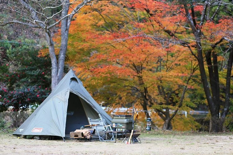 Amazon________________________