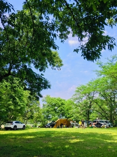 津志田河川自然公園