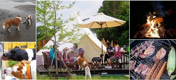 犬と星見るグランピングサイト Glee Club を解説 キャンプ アウトドア情報メディアhinata