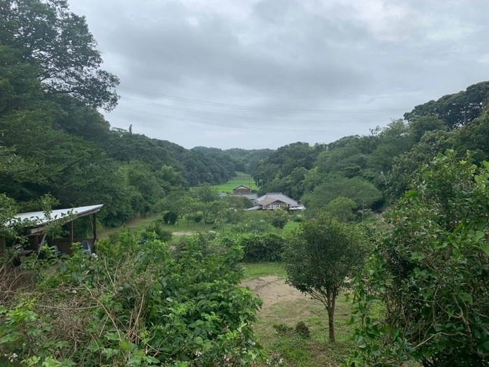 犬猫34匹に会える千葉のオートキャンプ場 花はなの里 ファン続出の理由を体感 取材 キャンプ アウトドア情報メディアhinata