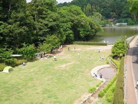 成田のオアシスが進化中！「坂田 ヶ 池 総合 公園」が2026年に国内外の旅行者を惹きつける先進的エコツーリズムの全貌