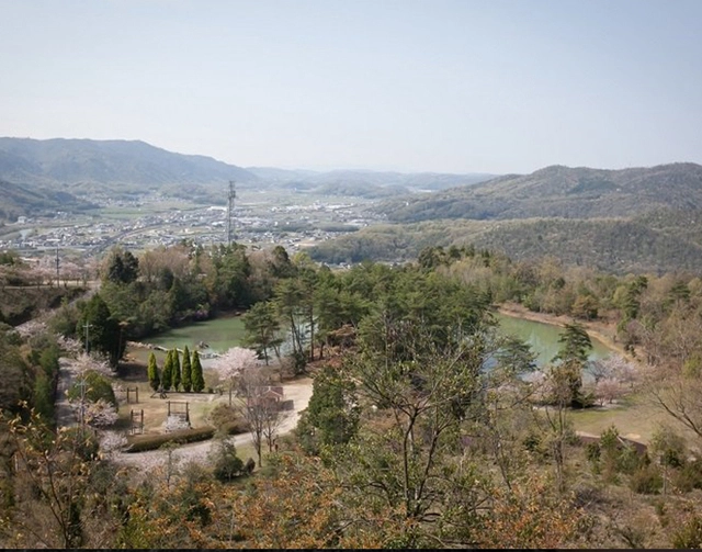 岡山県矢掛町にある「亀島キャンプ場」を解説！