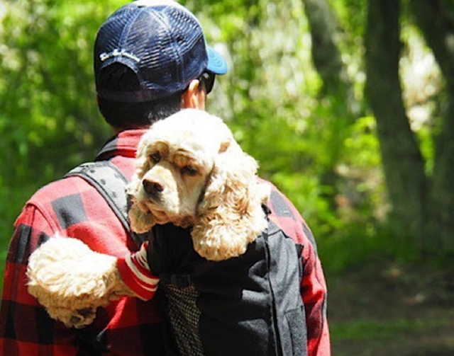 愛犬とアウトドアを楽しめるギアショップ「アウトテイル」。千葉に念願のキャンプ場もオープン！