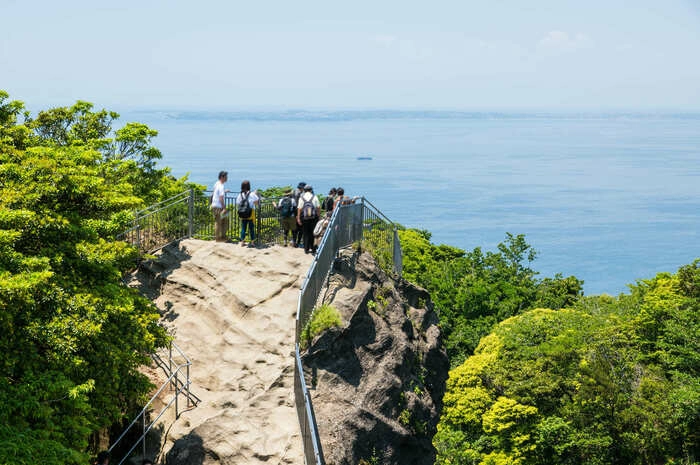 南房総の海を眺めている人たちの画像