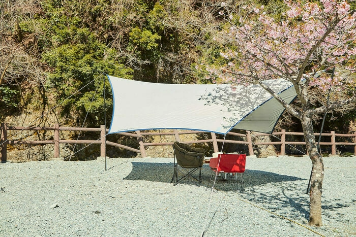 タープ