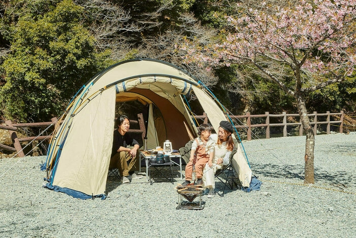 花見キャンプ