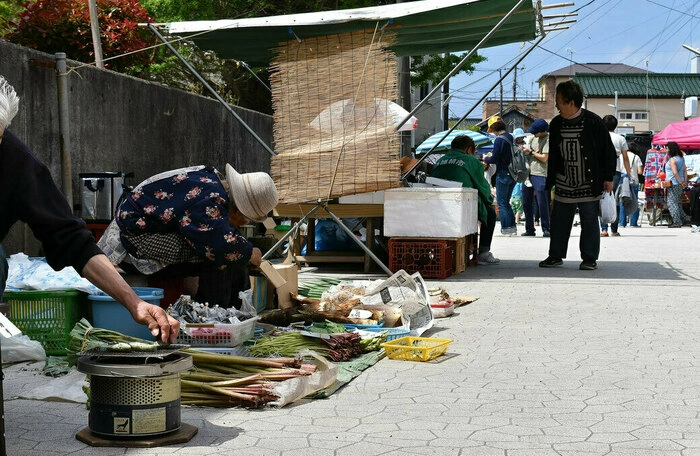 勝浦朝市