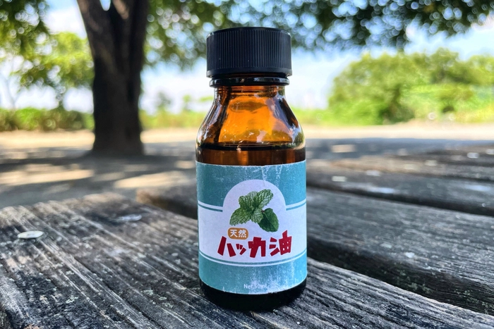 ストップ虫刺され キャンプを快適にする虫除けグッズの定番 新定番はコレ キャンプ アウトドア情報メディアhinata