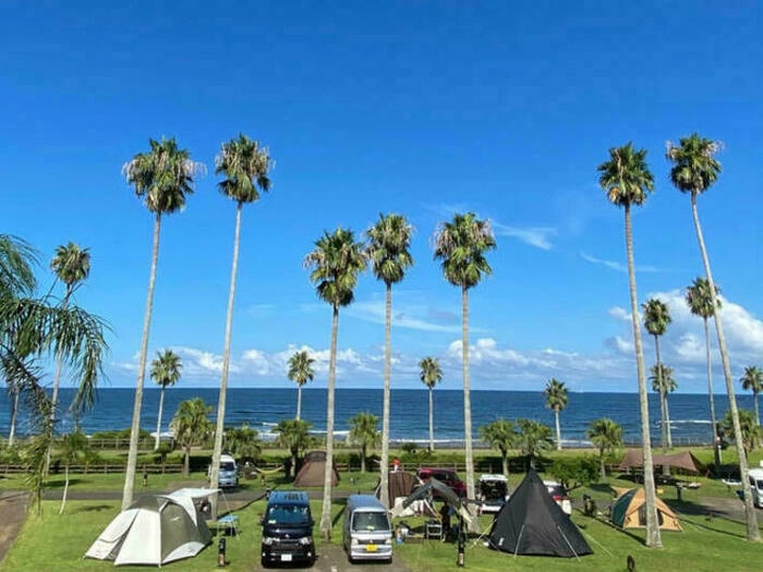 ヤシの木と海を眺められる宮崎白浜オートキャンプ場のサイト