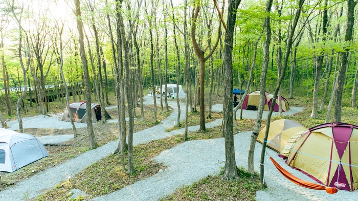 初心者必見 ファミリーキャンプの費用や持ち物 おすすめのキャンプ場を紹介 キャンプ アウトドア情報メディアhinata