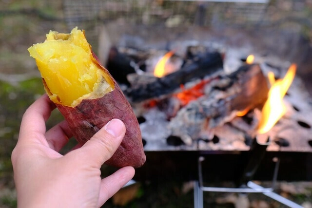 【一作限り】秋の焚き火で焼き芋タイム　A510 キャンプでの焼き芋のつくり方！焚き火やダッチオーブンおいしいレシピ