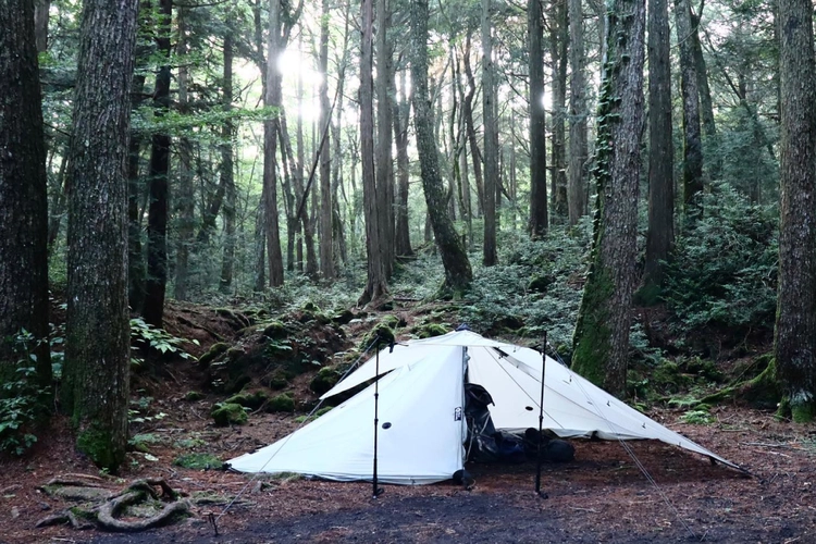 175571818_158732079393057_5965