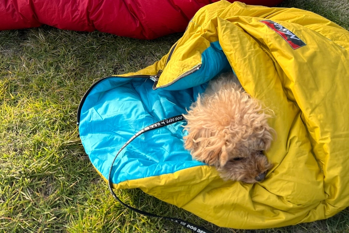 NANGA 犬用 スリーピングバッグ 寝袋 防寒具 キャンプ 中型犬 大型犬 雑誌 GO OUT 掲載 NANGA(ナンガ)別注 Dog sleeping bag(ドッグ