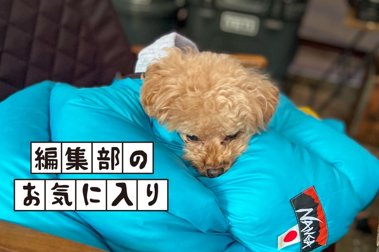 NANGA 犬用 スリーピングバッグ 寝袋 防寒具 キャンプ 中型犬 大型犬 新商品】2020/3月発売 ナンガからペット用シュラフが登場！『DOG