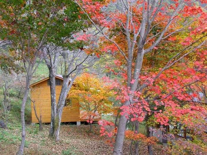 紅葉する林間にあるコテージ