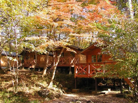 那須高原アカルパの紅葉した木々とコテージ