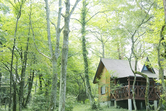 極上ラビット尻あて　登山　キャンプ　ヒップガード　ウサギ毛皮敷物　スキー釣り山菜 ワイルドラビット尻あて 登山 キャンプ ヒップガード ウサギ毛皮