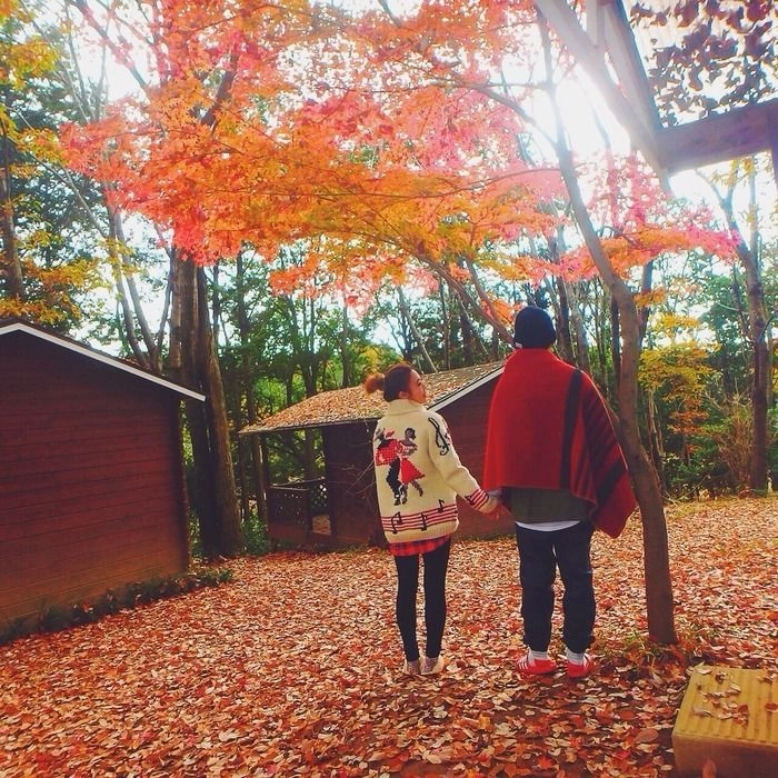 紅葉の下で手をつなぐカップル