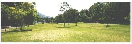 スプラッシュガーデン秩父のキャンプ場の様子