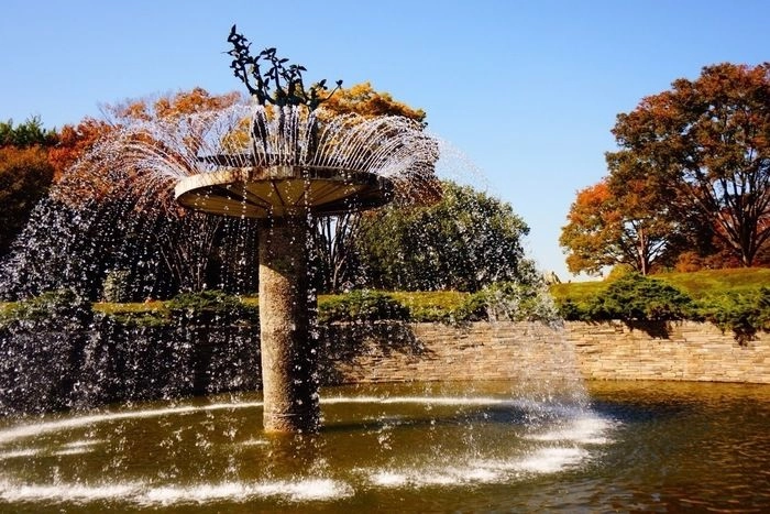 紅葉と噴水