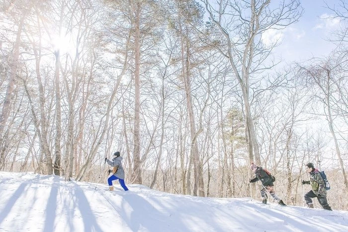 雪山を駆け上がる人々