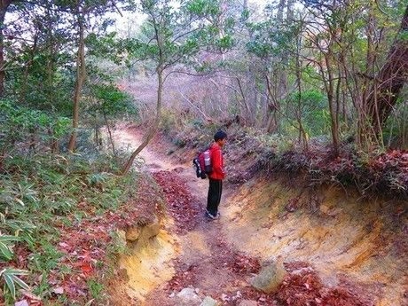 なだらかな登山道を歩く人