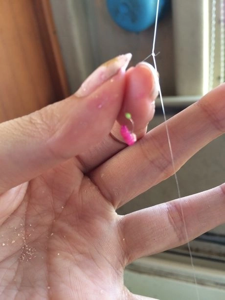 釣り竿についた赤虫