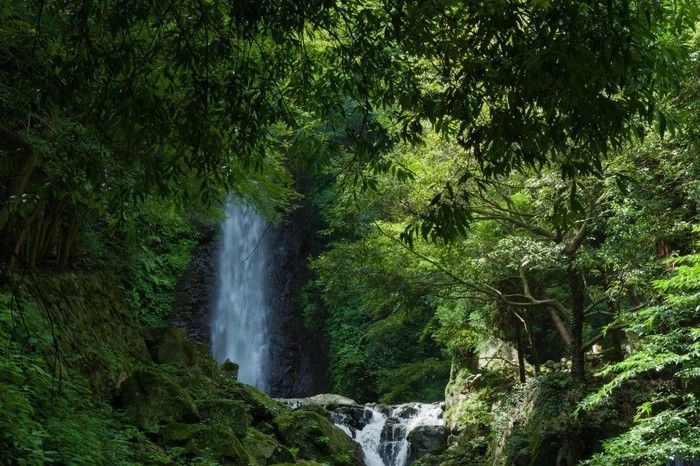 養老の滝