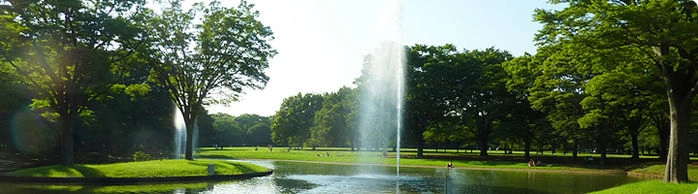 噴水のある公園の写真