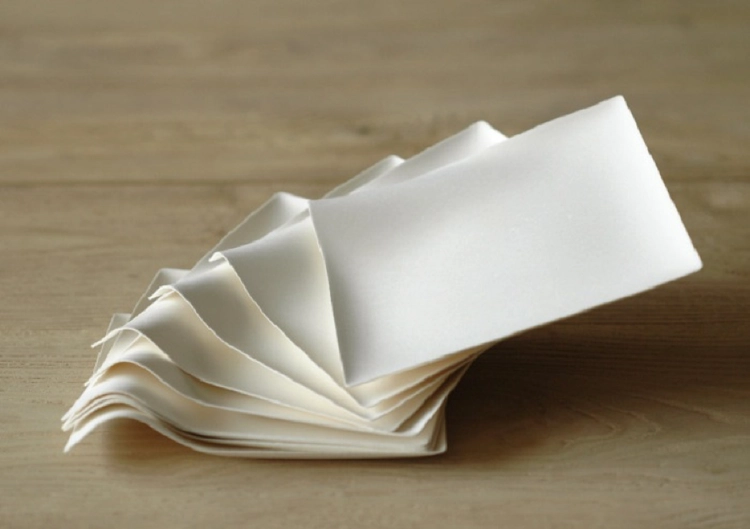 普通の紙皿じゃ満足できない おしゃれピクニックに必須のwasaraとは キャンプ アウトドア情報メディアhinata