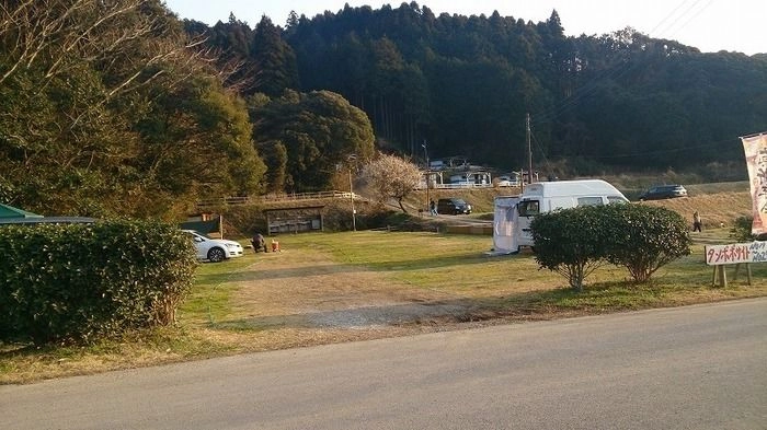 タンポポサイトの様子